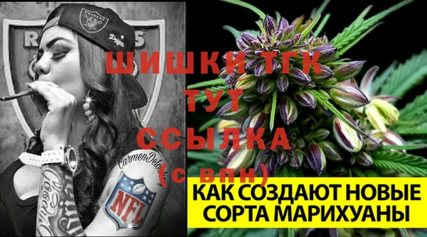 гидропоника Белоозёрский