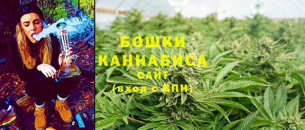 винт Белокуриха