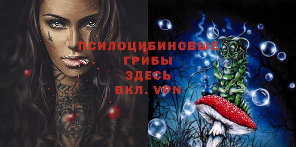 Альфа ПВП Беломорск